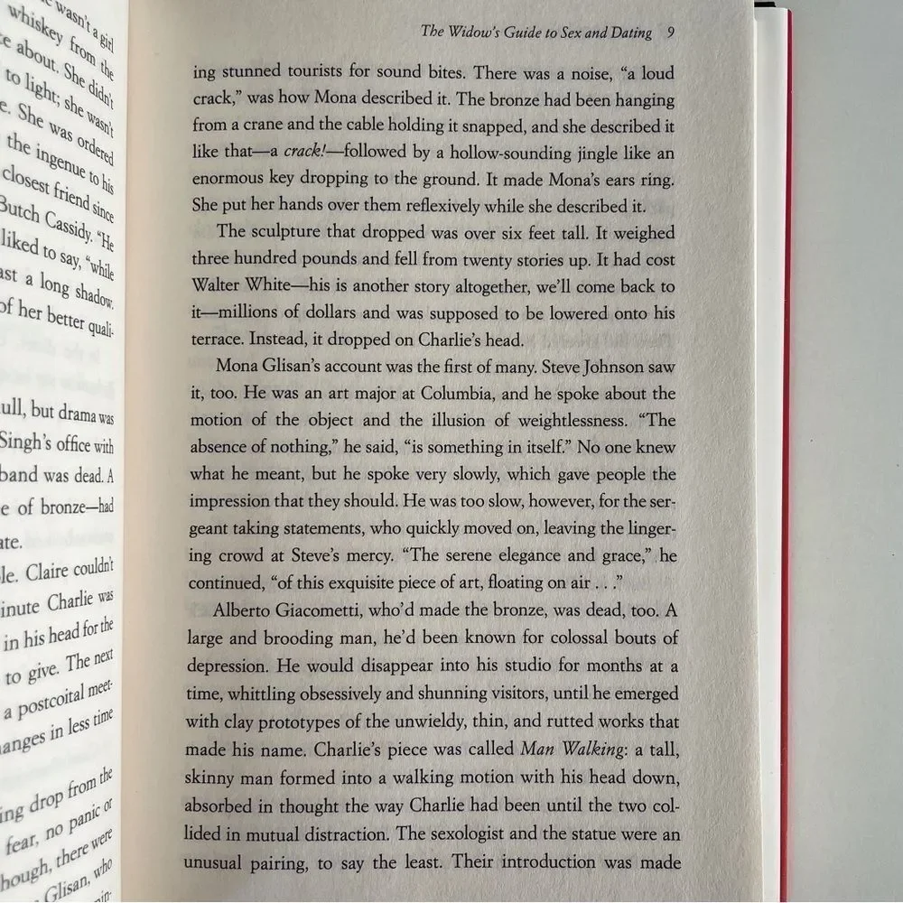 BOOK, The Widow’s Guide to Sex & Dating, a novel, 302 pages, Fiction, NOS - Picture 8 of 16